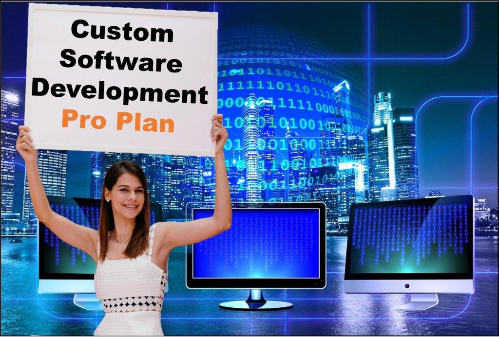 custom software development agency in Boise Idaho