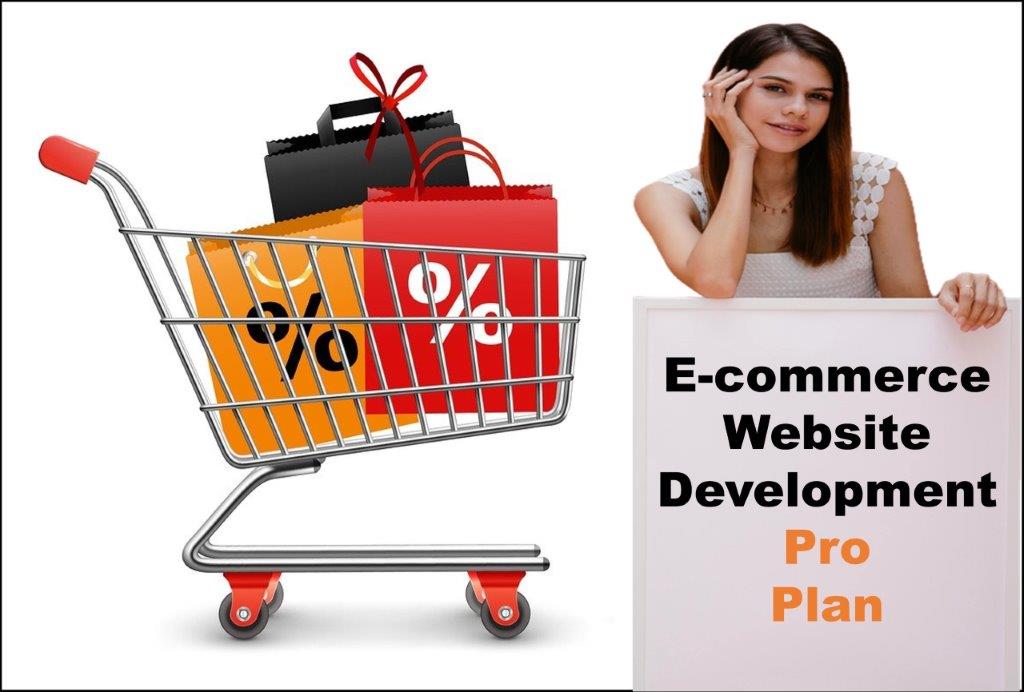 professional ecommerce website development agency in Boise Idaho