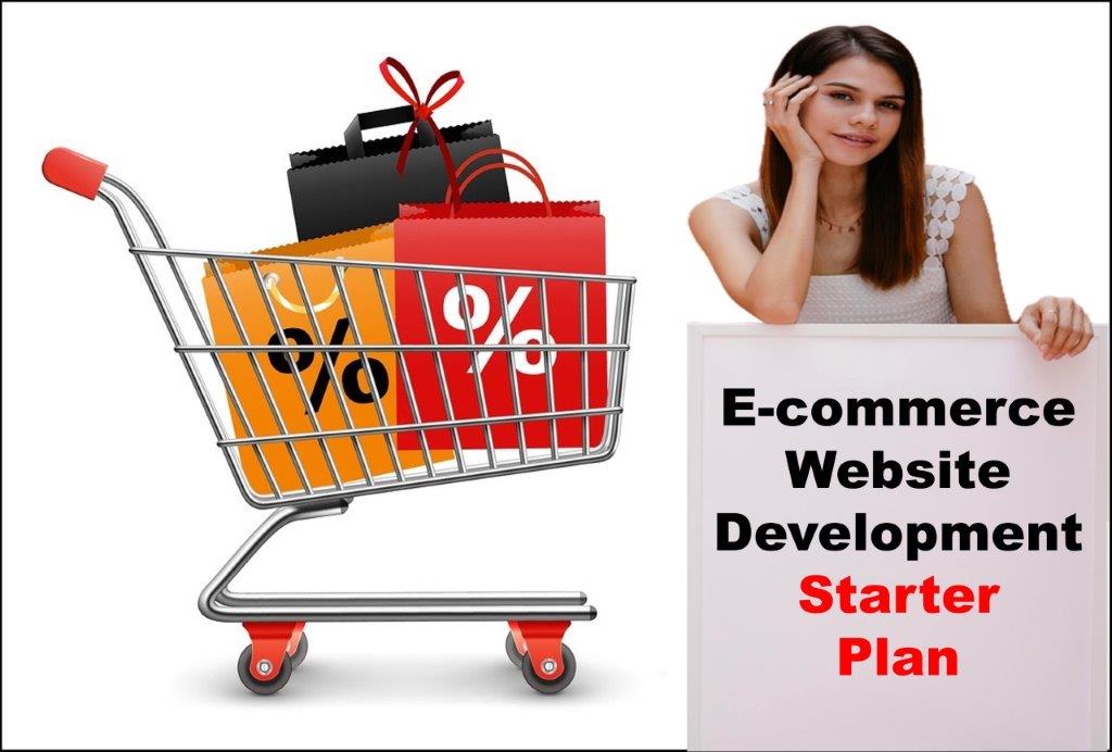 E-Commerce Website Development in Boise Idaho