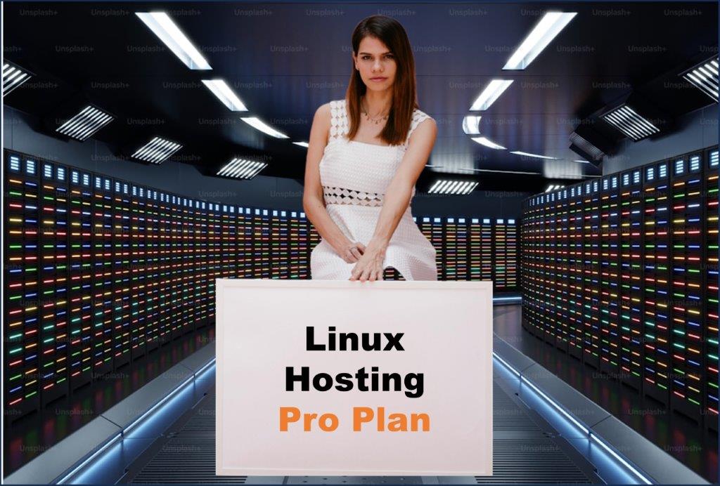 linux hosting windows hosting provider in Boise Idaho