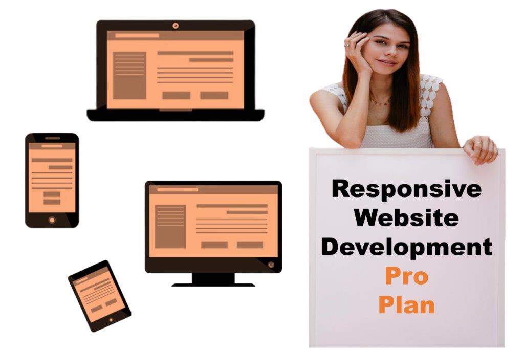expert responsive website development agency in Boise Idaho