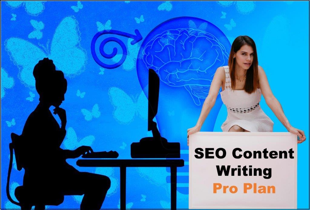 seo content writing agency Boise Idaho