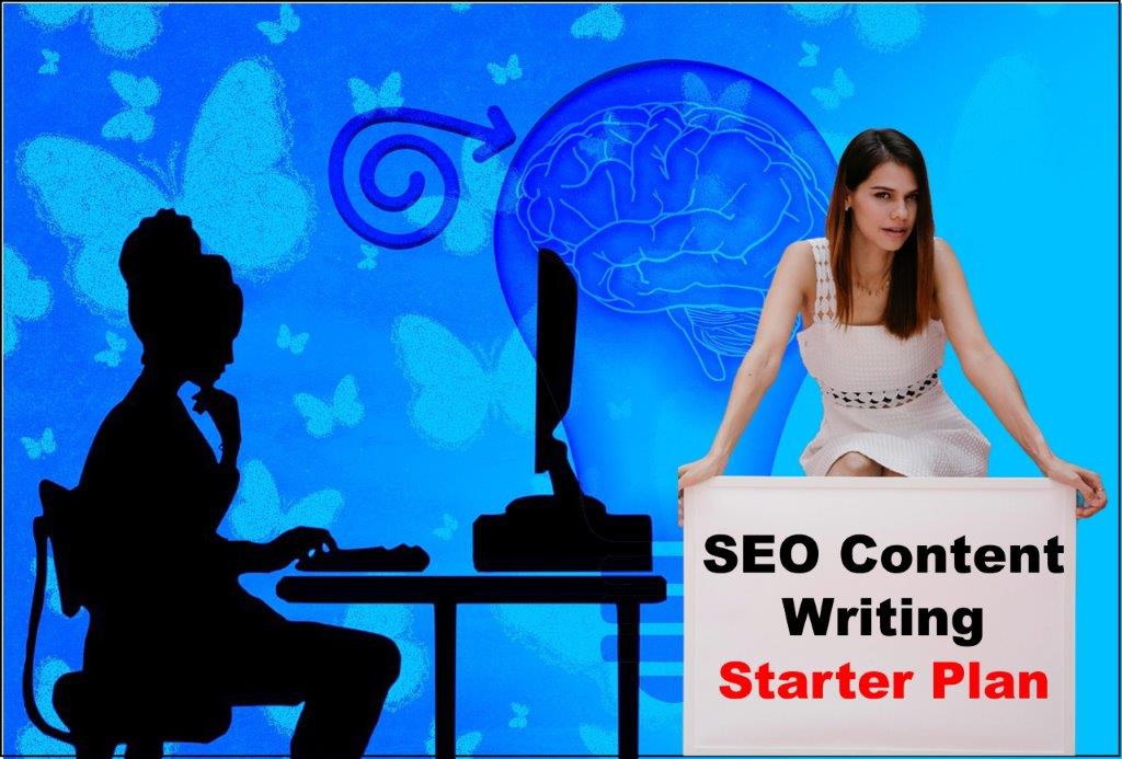seo content writing service provider in Boise Idaho