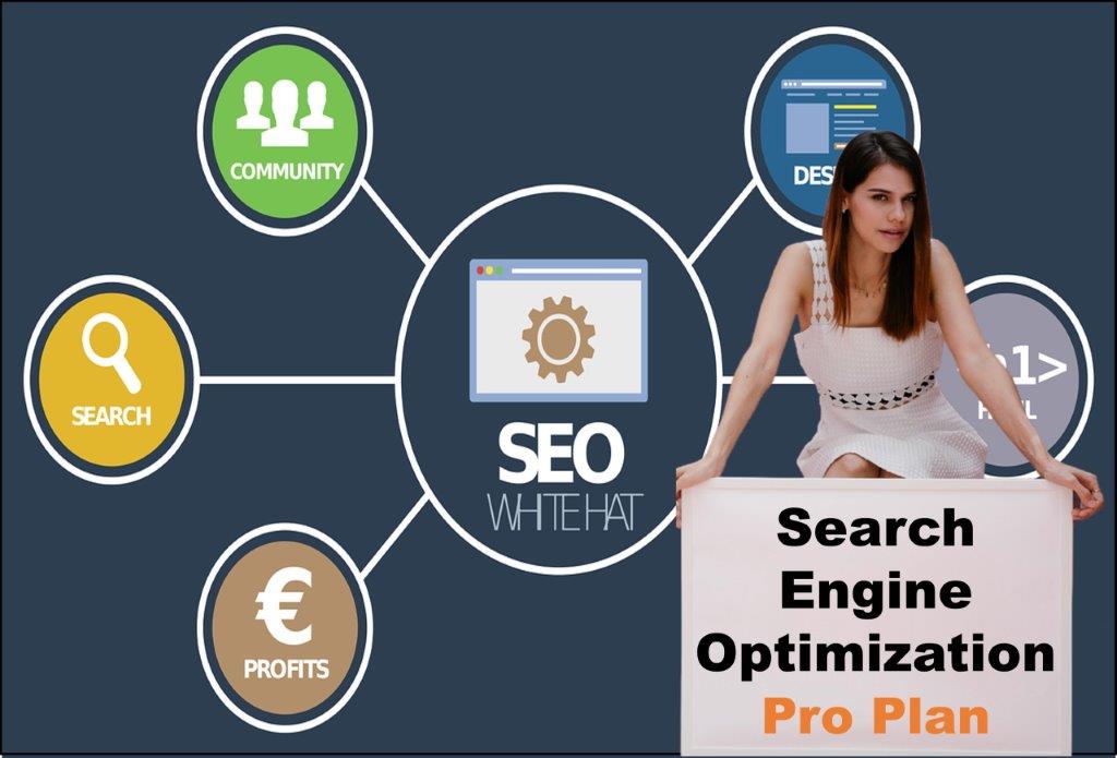 seo company Boise Idaho