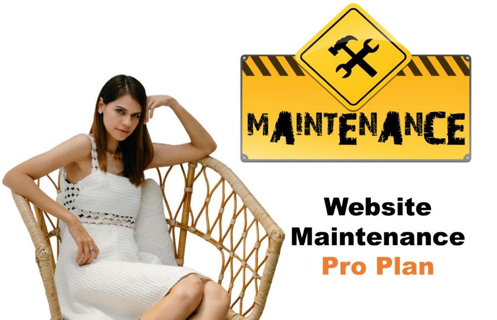 website maintenance agency in Boise Idaho
