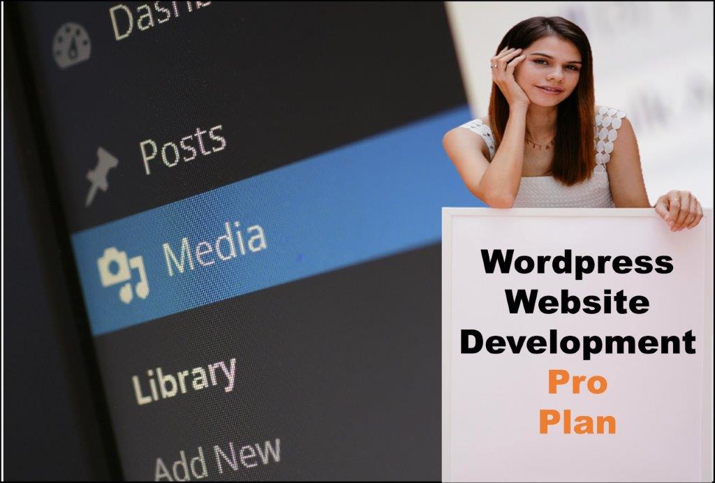 wordpress website designing in Boise Idaho