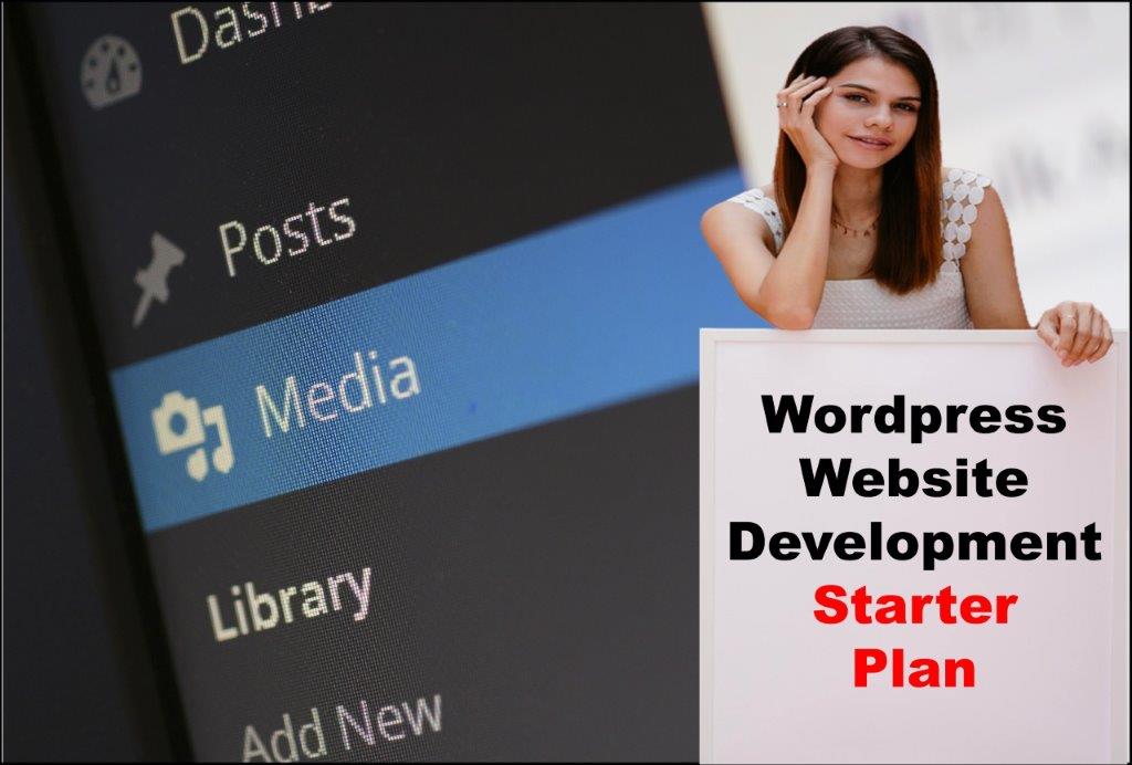Wordpress Website Development in Boise Idaho
